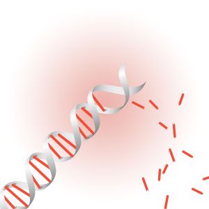 Uniformly Labeled DNA Synthesis Service