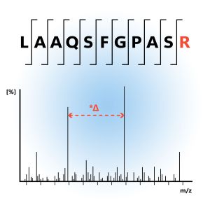Relative Quantification