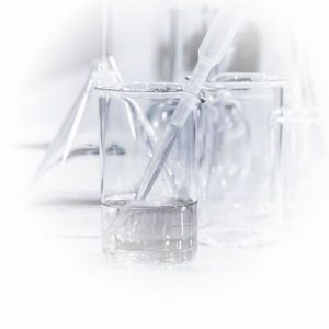 NTPs and Modifications
