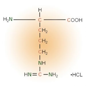 Amino Acids