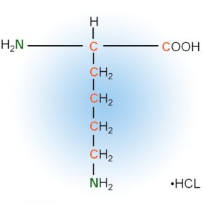 Internal Amino Acid Standards