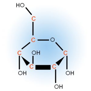 Internal Glucose Standards