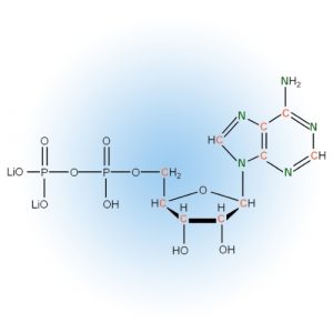 NDPs and Modifications