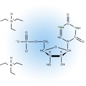 NMPs and Modifications