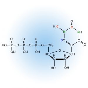 NTPs and Modifications