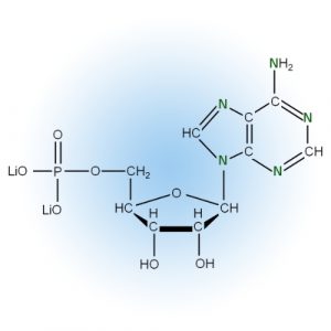 RNA and DNA Building Blocks