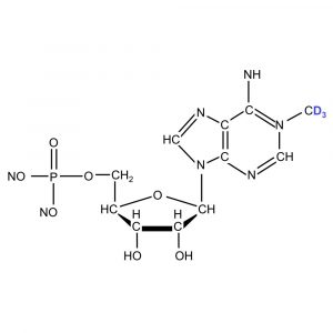 <p>N1-Methyl(D3)-Adenosine-5'-O-monophosphate, triethylammonium salt, powder</p>