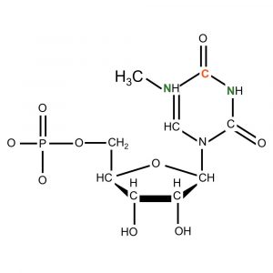 N1-Methyl(D3)-Adenosine-5'-O-monophosphate, triethylammonium salt, powder