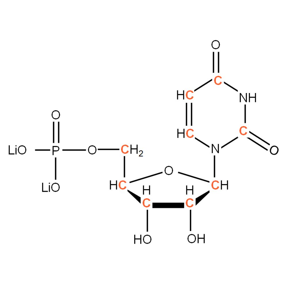 Uridine 5'-monophosphate
