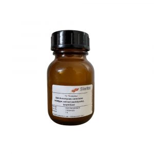 Saccharomyces cerevisiae Yeast Extract (Autolysate)